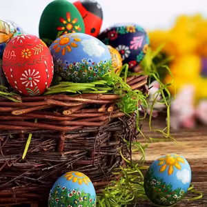 DENKO (marec 2016) #2