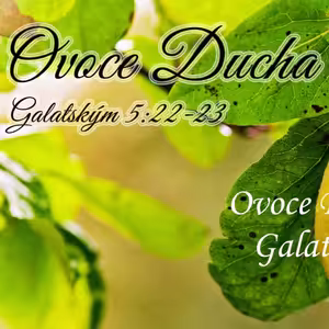 Ovoce Ducha 6: Dobrota a věrnost