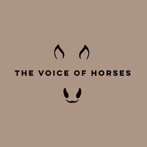 Zimní Práce S Koněm Bez Haly