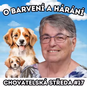 🐩 O barvení a hárání 🐩 | Chovatelská středa #17