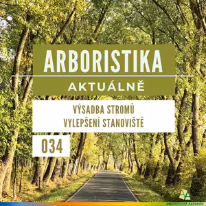 Výsadba stromů - vylepšení stanoviště - Arboristika aktuálně #034
