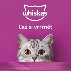 Čas si vrrrnět