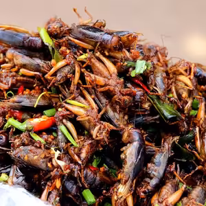 Duše má, neznámá -76- Máme jíst šváby? - 2023-02-22