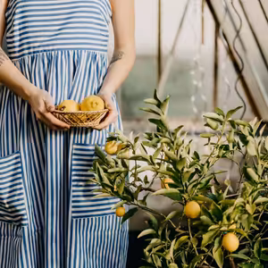 Bonus II: Hledání smysluplnosti a vnitřní svobody v práci i podnikání