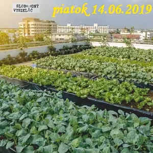 Riešenia a alternatívy 121 - 2019-06-14 Jedlé mestá a miesta