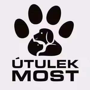 Novinky v Útulku pro zatoulaná a opuštěná zvířata v Mostě.