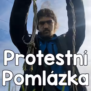 Protestní pomlázka