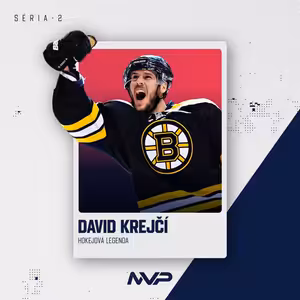 #17 - David Krejčí