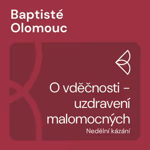 O vděčnosti - uzdravení malomocných (13.11.2022)