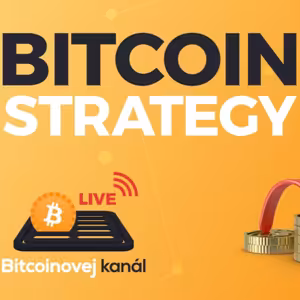 🔴Bitcoin Strategy