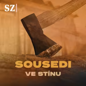 Muž se sekerou se přiznal. Přesto platil nevinný