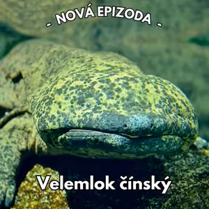 29: Prastarý obr, který se skrývá v čínských řekách