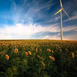 INESS do UCHA #59: Štúdia odhalila 40 trhových prekážok, ktoré brzdia úsilie o dekarbonizáciu v strednej a východnej Európe