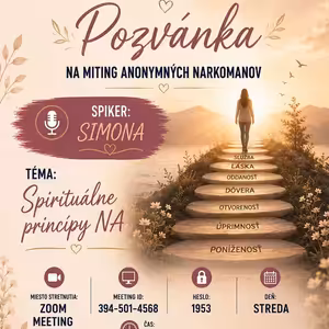 Spirituálne princípy NA (Streda spiker) - Simona (SK) - 15. 7. 2026