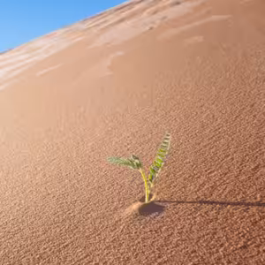 Služby Božie 9. 7. 2023 | Nádej v púšti