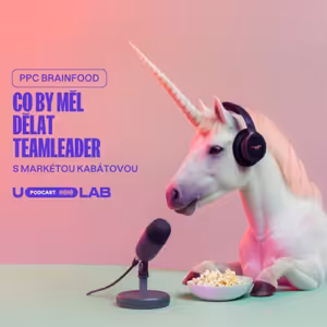 8 KLÍČOVÝCH AKTIVIT CO BY MĚL DĚLAT PPC TEAMLEADER | Markéta Kabátová