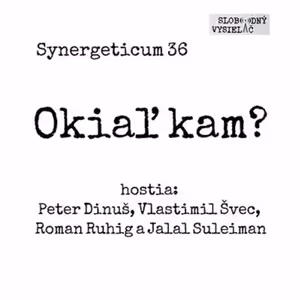 Synergeticum 36 - 2017-02-07 spoločné zamyslenie nad našim smerovaním...