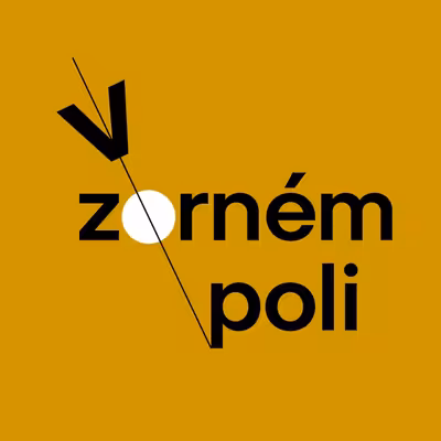 V zorném poli