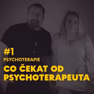#1 Psychoterapie - Je člověk blázen, když chodí k psychoterapeutovi?