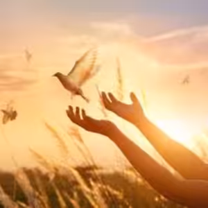 Bůh odpouští a čeká, že budeme i my odpouštět