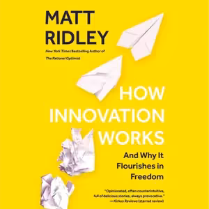 💡 Matt Ridley: How Innovation Works