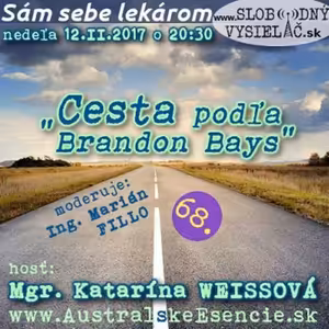 Sám sebe lekárom 68 - 2017-02-12 Cesta podľa Brandon Bays