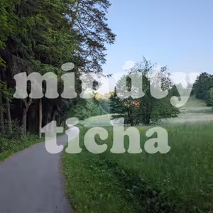 Ranný spev vtákov v lesoparku