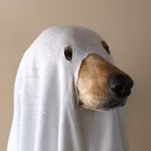 Co je to Kulturní hegemonie?