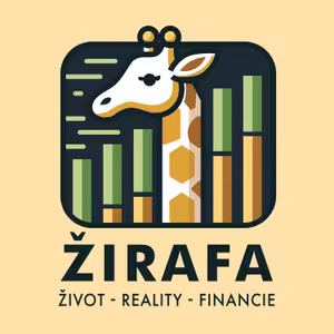 Nočná mora pri SPOLUPRÁCI S DEVELOPERMI! A ako zariadiť efektívne garsónku? 😨🏡 /Igor Kliman