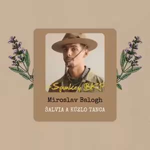 Miroslav Balogh: Šalvia a kúzlo tanca