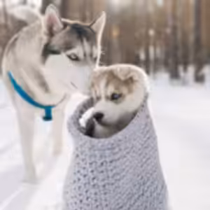 HOROSKOPY: Býci, vaše drahá polovička si vás cení, ale slova obdivu a chvály od ní nečekejte