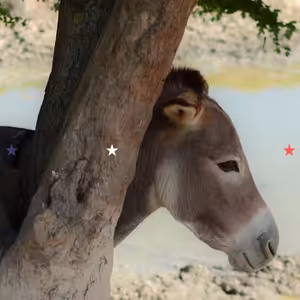 Kde jsou demokraté?