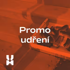 Promoudření: s Davidem Helánem a Pavlem Ticho(něm) na Vltavské