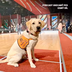 O výcviku vodících psů s Hanou Jasenovcovou