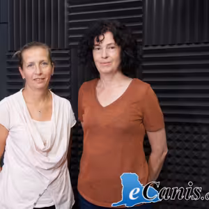 Alergie a jak na ně