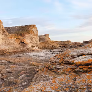 Na Bergmanově ostrově | SOFFA 15