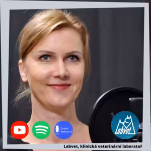 Pejsci v kočičím kožíšku