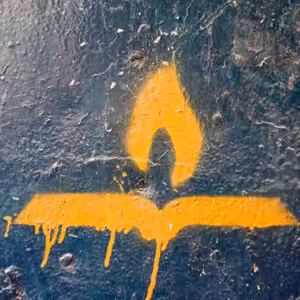 Náman syrský - Stanislav Bocek (27.12.2015)