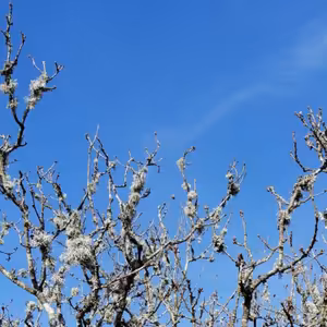 MARIE A BELGIE #9 | Zítra jedu domů. Domů?