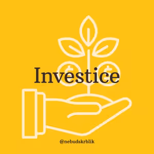 |03| Investice můžeme přirovnat k pšenici