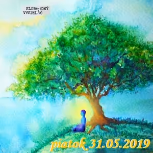 Riešenia a alternatívy 120 - 2019-05-31 Pokoj v duši…