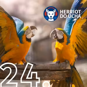 #24 Letem ptačí říší 🦜🐦 - MVDr. Lubica Nečasová. Podcast o chovu papoušků a exotického ptactva.