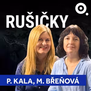 RUŠIČKY: Stát ušetří miliardy díky neziskovkám. Proč jim Češi nevěří?