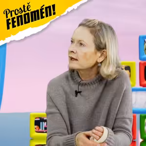 ALENA POLEDŇÁKOVÁ: Simpsonovi zní v češtině barvitěji než originál, Sex ve městě byl zjevení.