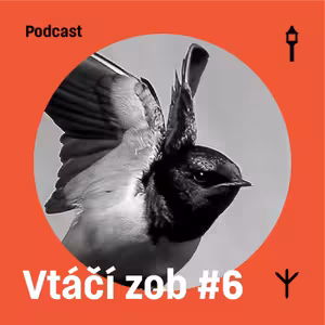 Vtáčí zob #6 — Lastovička obyčajná (Samuel Sabol, Jakub Lenart)