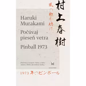 Počúvaj pieseň vetra, Pinball 1973