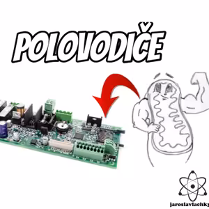KB #10 Čo sú polovodiče – ich objav v Biológii