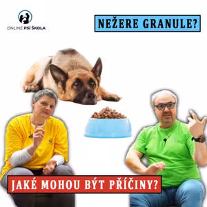#39 Pes nechce žrát granule?
