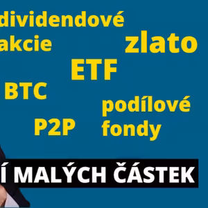 Jak investovat malé částky (pro začátečníky)