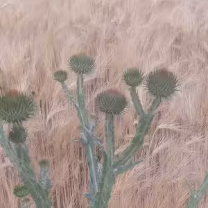 Co je to resilience?